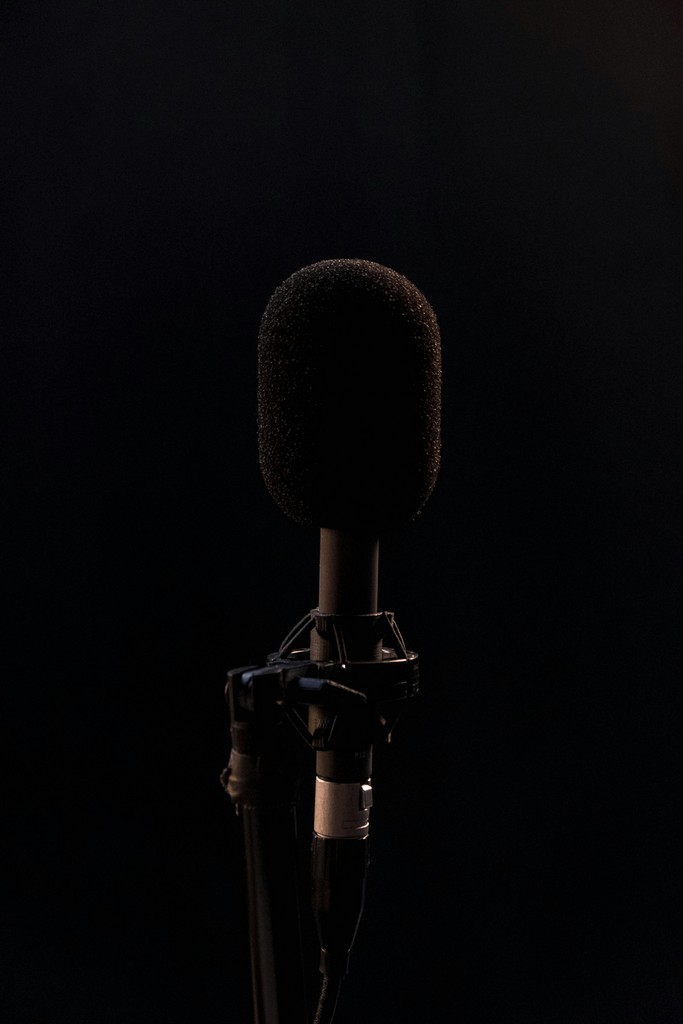 AI Voiceover & Audio